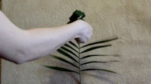 Флористика для начинающих (Техника Плетение) Мастер класс Floral Lessons. Flowers