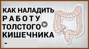 КАК НАЛАДИТЬ РАБОТУ ТОЛСТОГО КИШЕЧНИКА.mp4