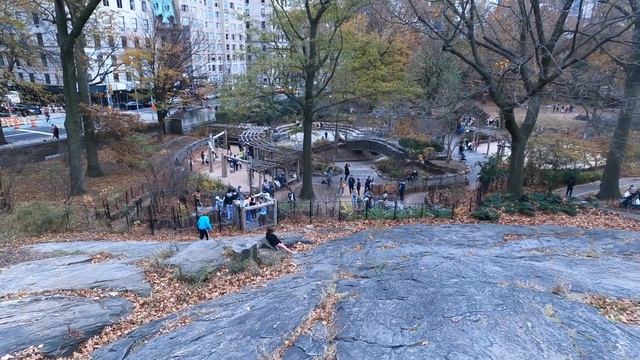 Зеленое сердце Нью Йорка - Центральный парк | Как отдыхают американцы смотреть онлайн