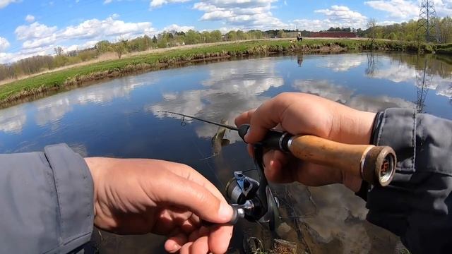 Майская уклейка .Мормышинг .