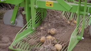 Обзор и сравнение польских картофелекопателей BOMET Z655, BOMET Z656, BOMET Z655/1