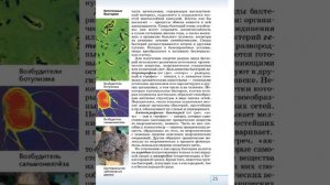 Биология 7к СТР-21 Царство Бактерии Подцарство Настоящие бактерии