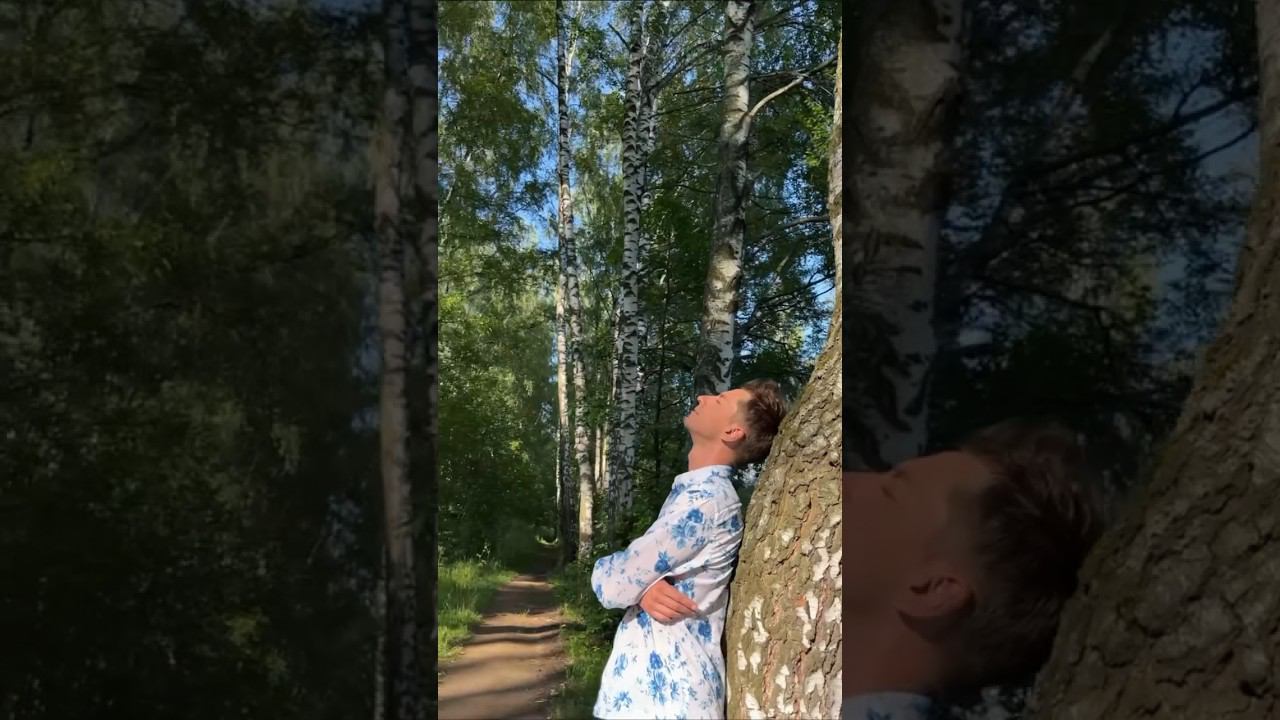 Родина моя — Россия