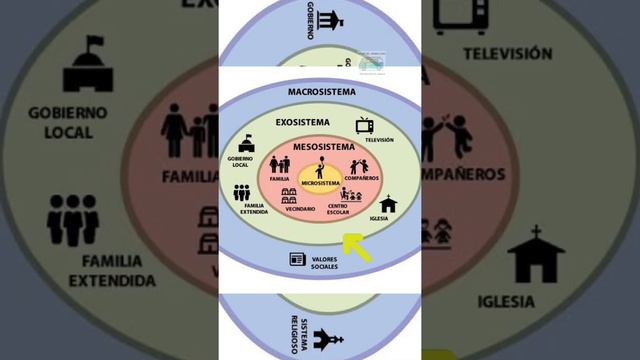 Urie Bronfenbrenner - La Ley del Criminólogo #shots #teoria