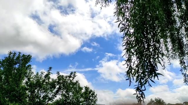 4 способа выявить свои сильные стороны.