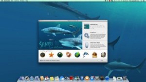 3 Stunning Live Wallpapers For Your Mac