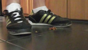 Adidas Samba Nua and blossoms