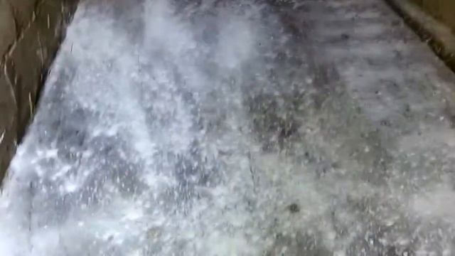 ОБРАБОТКА САРАЯ ДЕЗИНФЕКЦИЯ! КАКИЕ СРЕДСТВА ИСПОЛЬЗОВАТЬ смотреть онлайн