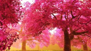 Аффирмации на успех и процветание  для женщин