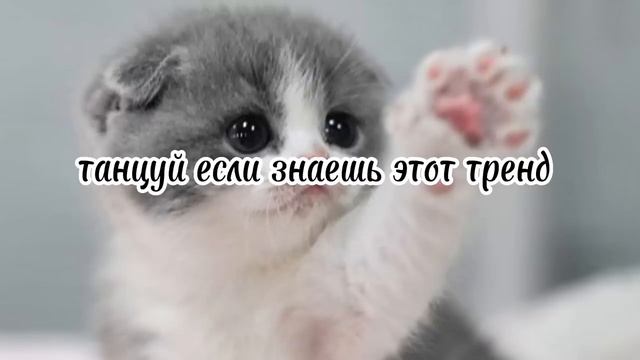 Танцуй если знаешь этот тренд 2023 | Лучшие Тренды ТикТока ? смотреть онлайн