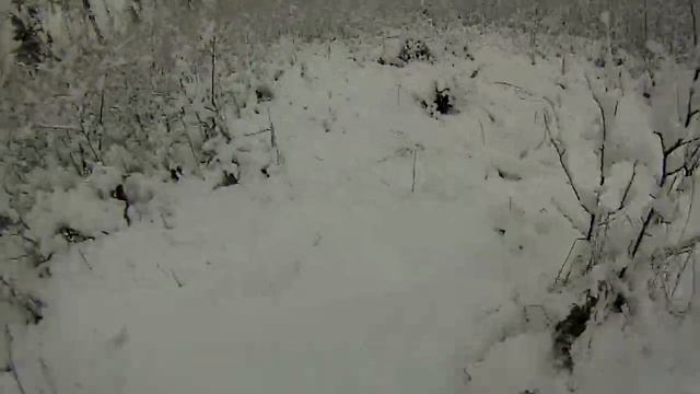 Солонцы. кое что про солонцы. смотреть онлайн