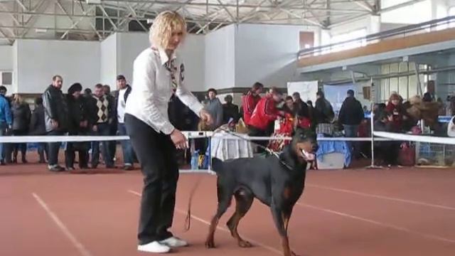 Купидон Креол(описание в Донецке 7.03.2009) смотреть онлайн