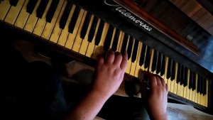 Французская гармошка. Музыка Игоря Белокурова.