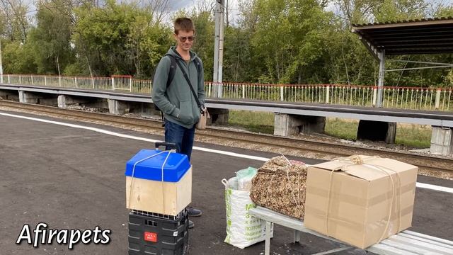 ПЕРЕЕХАЛИ В РАМЕНСКОЕ/ РАМЕНСКОЕ ЛУЧШИЙ ГОРОД ПОДМОСКОВЬЯ/ СЭМИК И ЧЕРРИ