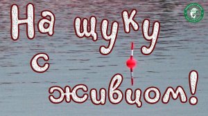 ЩУКА НА ПОПЛАВОК! ЖИВЦА НАЛОВИЛ, А БУДЕТ ЩУКА БРАТЬ НА НЕГО ИЛИ НЕТ ПОКАЖЕТ УТРО! РЫБАЛКА НА УРАЛЕ!