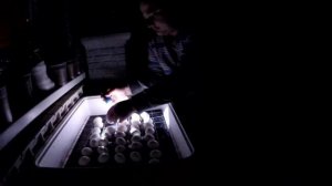 Девятнадцатый день инкубации ОВОСКОПИРОВАНИЕ