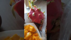 Тайланд декабрь 2022 год. Патайя. Cosy beach hotel. Путешествие в парк миниатюр, зоопарк