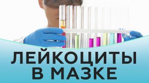 Лейкоциты в мазке.