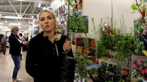 Как выбрать и посадить яблоню