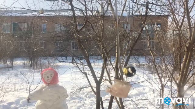 ПОДКАРМЛИВАЕМ ПТИЦ смотреть онлайн