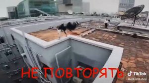 паркур по крышам , вот как хорошо было пару лет назад😊