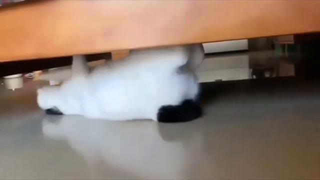 Подкроватный монстр