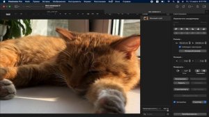Интерфейс Pixelmator Pro обучение редактирование Mac OS Big Sur