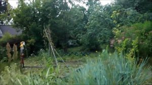 Мой прекрасный сад. Сад для лентяя 4.Прошло 4 дня и.... My beautiful garden...