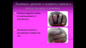 Заготовка, хранение и заморозка моркови и свеклы на зиму, в пакетах