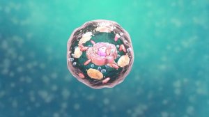 Почему Таллий так ОПАСЕН? Токсичные свойства таллия.