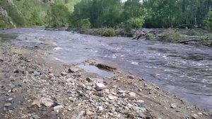 Дорога Сретенск Шелопугино.