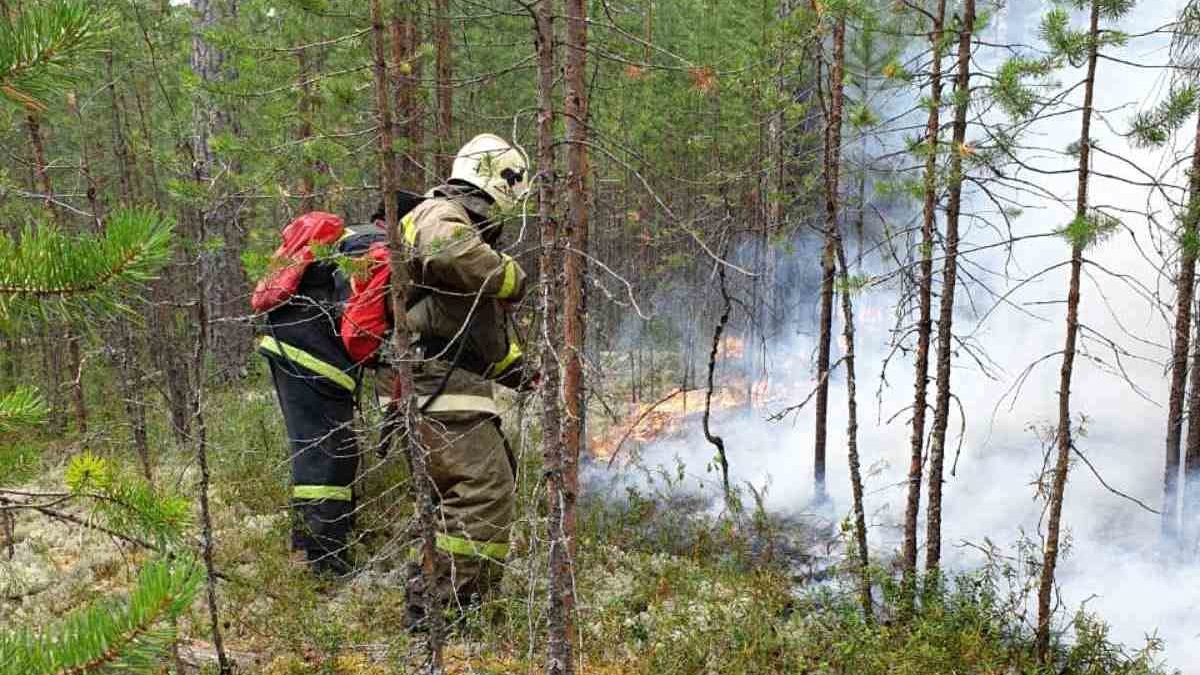 Чс хмао. Пожары в ХМАО. Режим чрезвычайной ситуации в лесах. Лесные пожарные Югра.