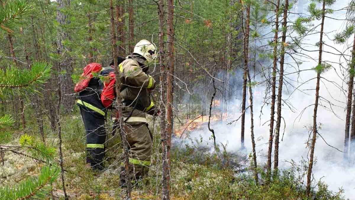 Особый противопожарный режим хмао. Лесные пожары в ХМАО. Режим чрезвычайной ситуации в лесах. Пожары в лесах Югры. Лесные пожарные.