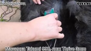 Машинка для стрижки Такуми 990 - стрижка ньюфаундленда