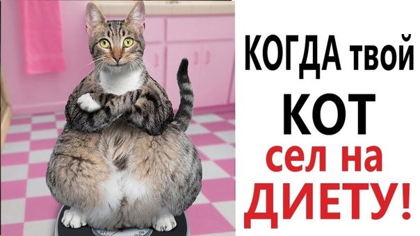 Самую смешную озвучку. Самую смешную озвучку