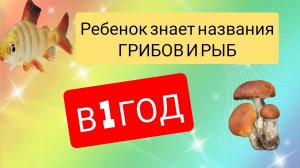 Ребенок в 1 год!!!  ЗНАЕТ названия ГРИБОВ И РЫБ. Развитие ребенка
