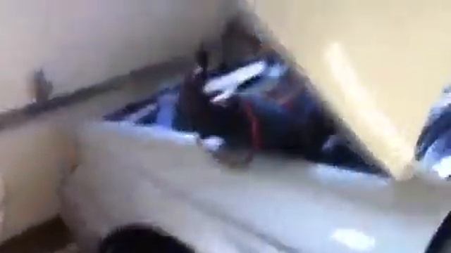 AL1650 - 1992 Ford Taurus GL - 3.8L смотреть онлайн