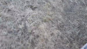 В чем причина помогите дэу новус