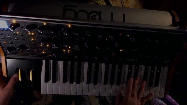 In the Moog Club смотреть онлайн