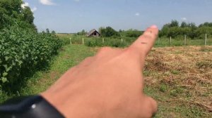 Система полива голубики