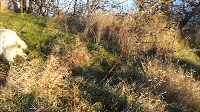 Родовая патриархальная семья. Часть 1. смотреть онлайн