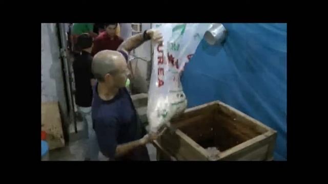 Putting Cacao in Juicer смотреть онлайн