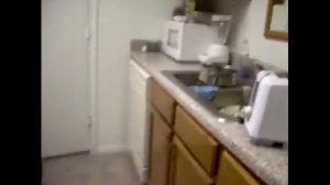 Испуги животных лучшие приколы 2021 ржака до слез - подборка