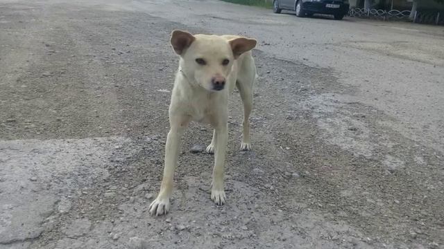 Хороших вам выходных смотреть онлайн