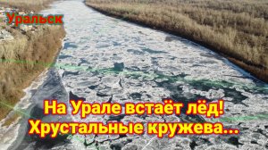 Река Урал в районе Уральска покрывается льдом!