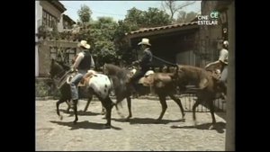 Gabriela Goldsmith en sus primeros años de carerra