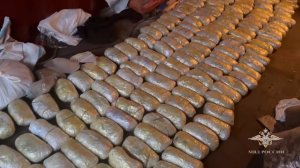 В Подмосковье перекрыт крупный канал сбыта наркотиков