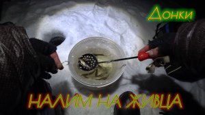 ЛОВЛЯ НАЛИМА СО ЛЬДА НА ДОНКИ