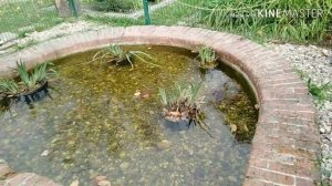 Polska. Отдых в Парке Легница. Park Mięski Legnica. Польша отдых))