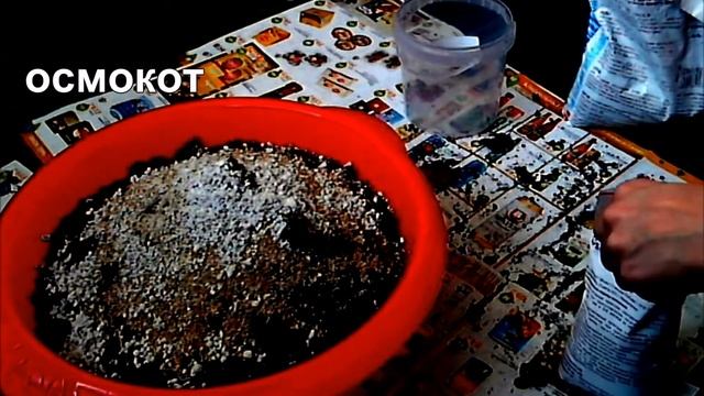 Земля для цитрусовых смотреть онлайн